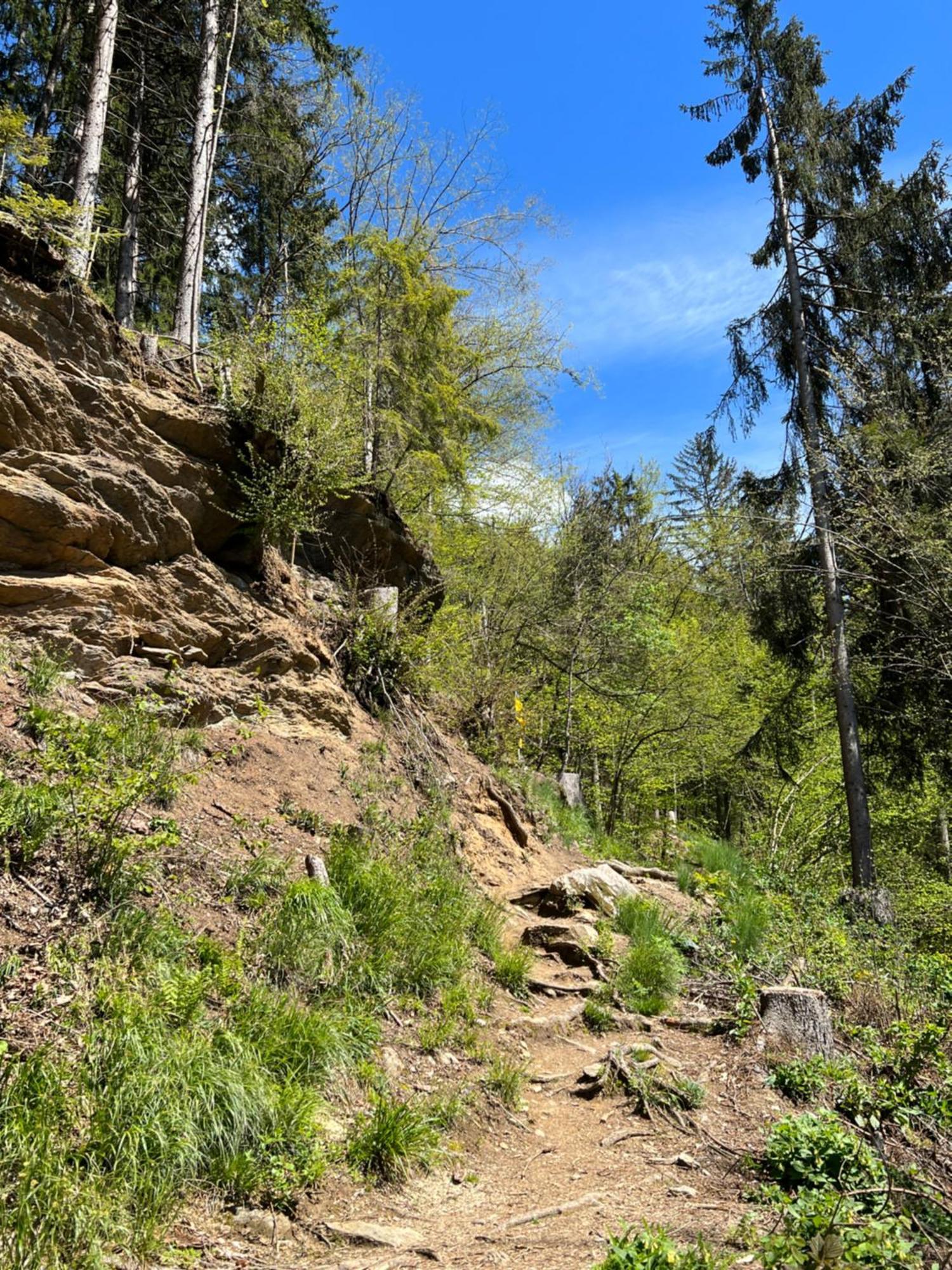 Ferienwohnung Mit Seeblick - Ossiacher See Gerlitzen Sattendorf Bagian luar foto